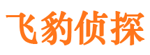 蛟河外遇出轨调查取证